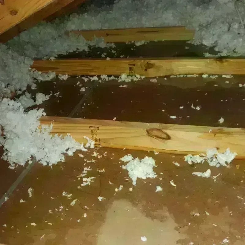 Attic Water Damage in Warren County, KY